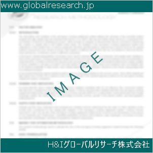グローバルリサーチ調査資料のイメージ